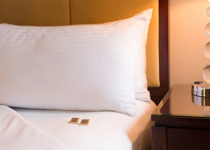 Millennium Knickerbocker Hotel Chicago