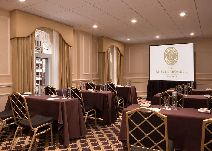 Hotel Millennium Knickerbocker Chicago